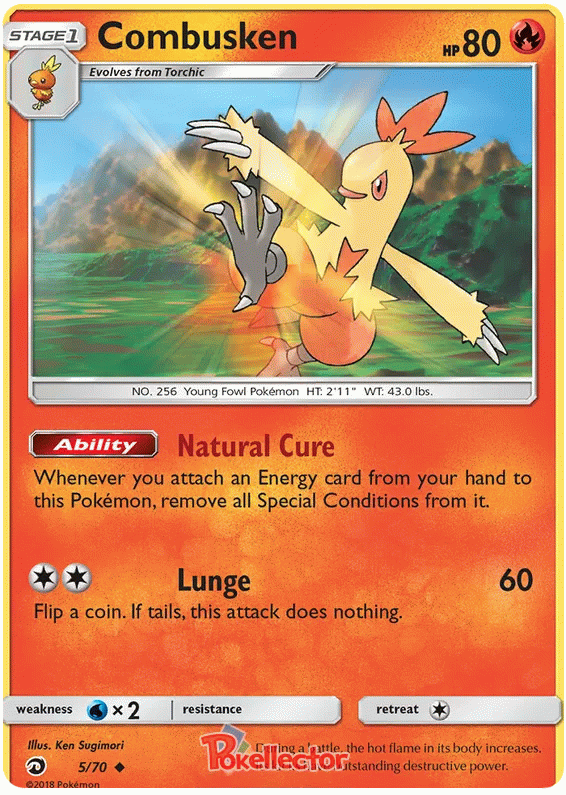 Combusken - Dragon Majesty #5