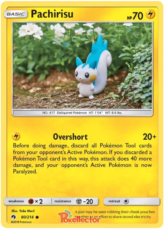 Pachirisu - Lost Thunder #80