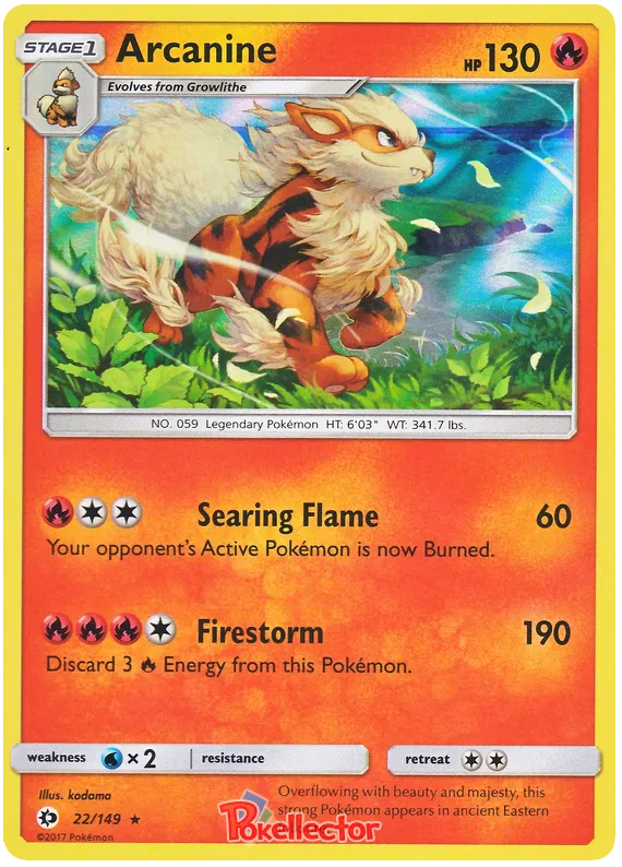 Arcanine - Sun & Moon #22