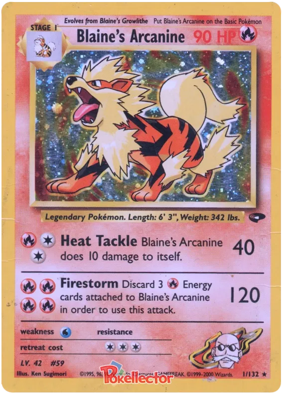 Blaine's Arcanine - Gym Challenge #1