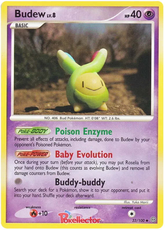 Budew - Stormfront #33