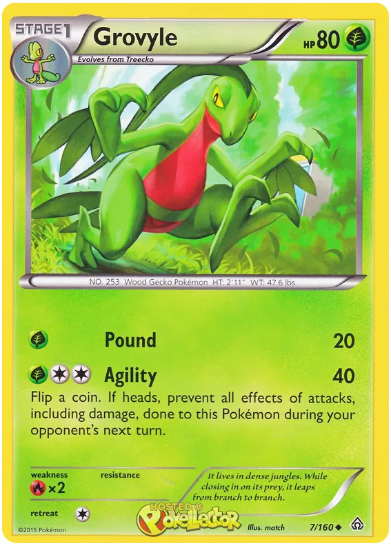 Grovyle - Primal Clash #7