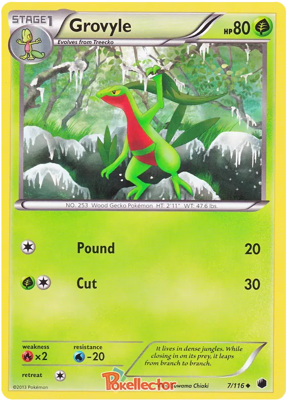 Grovyle - Plasma Freeze #7