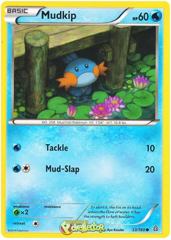 Mudkip - Primal Clash #33