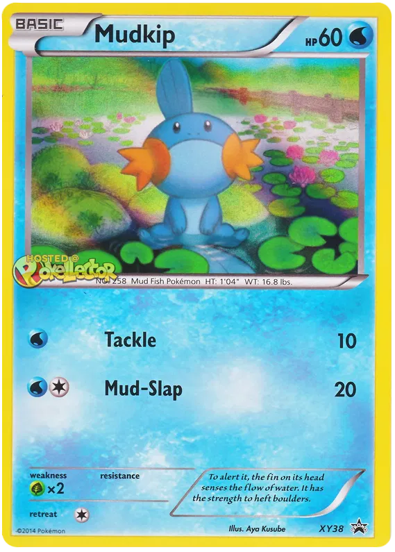 Mudkip - XY Promos #38