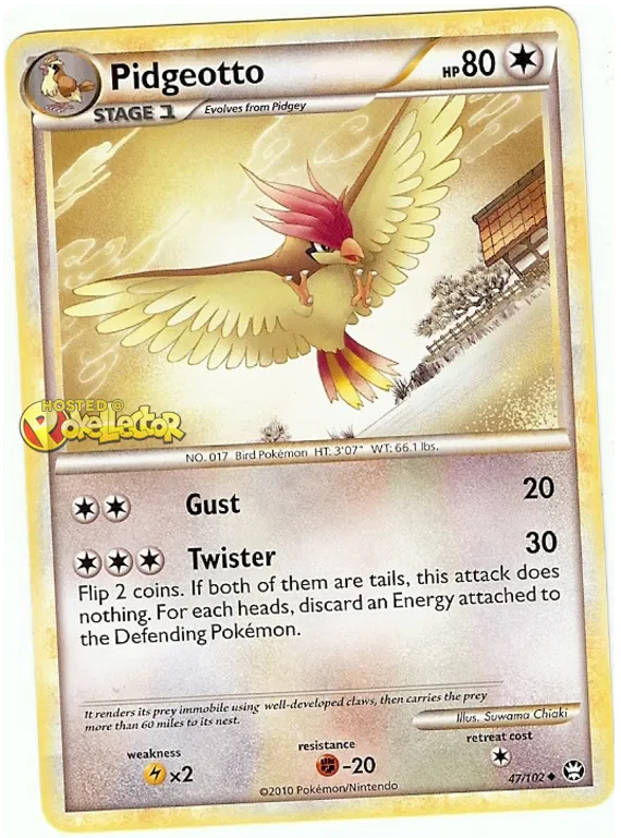 Pidgeotto - HS Triumphant #47