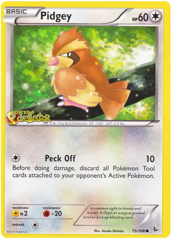 Pidgey - XY Flashfire #75