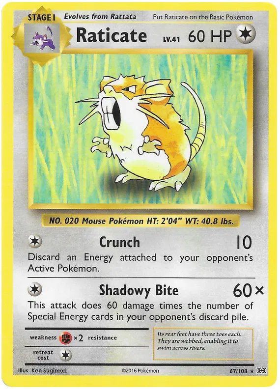 Raticate - Evolutions #67