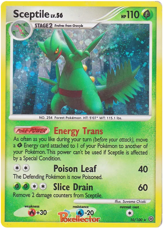 Sceptile - Stormfront #10