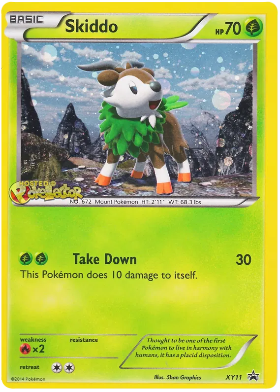 Skiddo - XY Promos #11