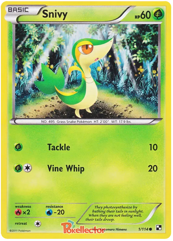 Snivy - Black & White #1