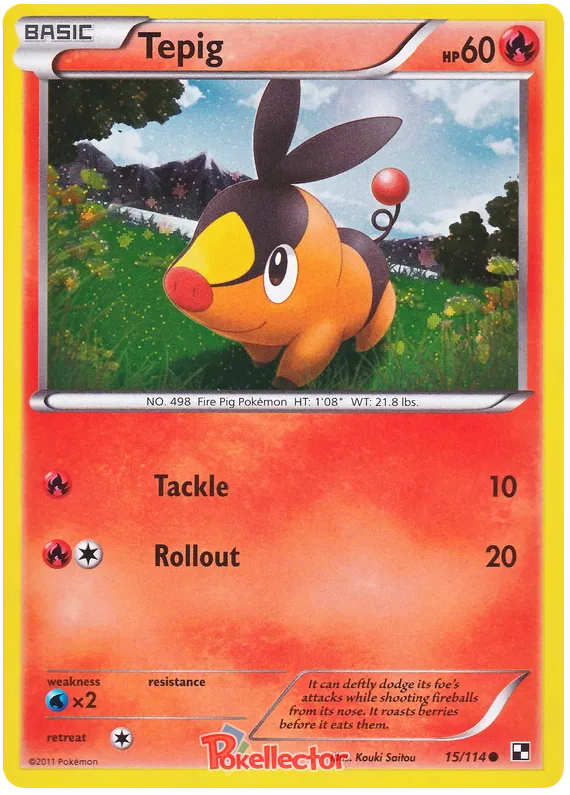 Tepig - Black & White #15