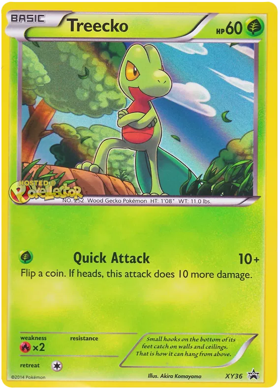 Treecko - XY Promos #36