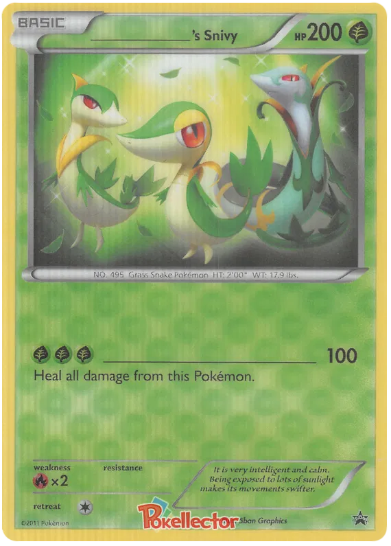 ____'s Snivy (Jumbo) - Black & White Promos 